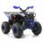 Квадроцикл MOTAX ATV Grizlik A125