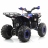 Квадроцикл MOTAX ATV Grizlik A125