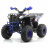 Квадроцикл MOTAX ATV Grizlik A125