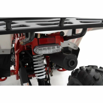 Квадроцикл MOTAX ATV Grizlik A125, фото 18