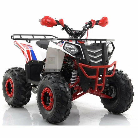 Квадроцикл MOTAX ATV Grizlik A125, фото 7