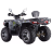 Квадроцикл Dazzle EXR 300
