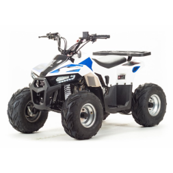 Квадроцикл Motoland EAGLE 110