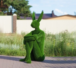 Топиари "Арт объект Зайка"