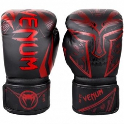 Перчатки боксерские Venum Gladiator Black/Red, фото 1
