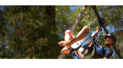 Американская горка Трек-Тарзан, фото 11
