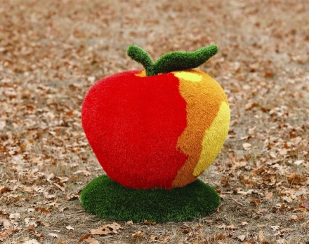 Топиари яблоко Наливное - газон Eco, фото 2