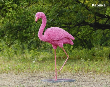 Топиари фламинго, Арина - газон Eco, фото 4