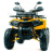 Квадроцикл подростковый MotoLand ATV 200 WILD TRAСK X PRO