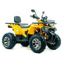 Квадроцикл подростковый MotoLand ATV 200 WILD TRAСK X PRO Квадроцикл подростковый MotoLand ATV 200 WILD TRAСK X PRO