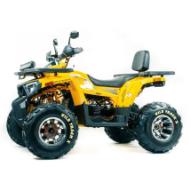 Квадроцикл подростковый MotoLand ATV 200 WILD TRAСK X PRO Квадроцикл подростковый MotoLand ATV 200 WILD TRAСK X PRO