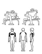 НВВ-001 Жим лежа с переменным весом, фото 2