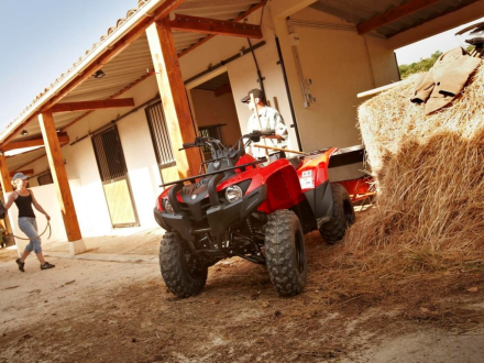 Квадроцикл YAMAHA Segway 300, фото 6