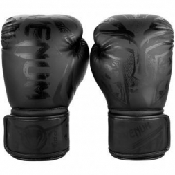 Перчатки боксерские Venum Gladiator Black/Black, фото 1
