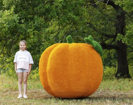 Топиари тыква - газон Eco, фото 4