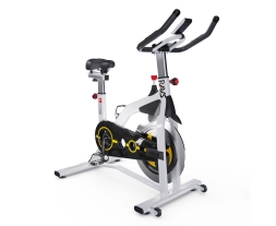 Cпин-байк DFC RAVS White, фото 1
