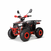 Квадроцикл YACOTA SIRIUS 110 Квадроцикл YACOTA SIRIUS 110