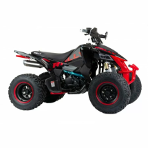 Квадроцикл подростковый MotoLand ATV 250 Rally Квадроцикл подростковый MotoLand ATV 250 Rally