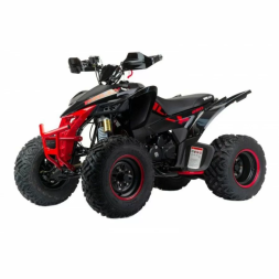 Квадроцикл подростковый MotoLand ATV 250 Rally, фото 3