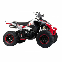 Квадроцикл подростковый MotoLand ATV 250 Rally Квадроцикл подростковый MotoLand ATV 250 Rally