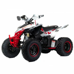 Квадроцикл подростковый MotoLand ATV 250 Rally, фото 1
