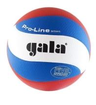 Мяч волейбольный GALA Pro-line 10 FIVB Мяч волейбольный GALA Pro-line 10 FIVB