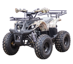 Квадроцикл STALKER 150, фото 1 Квадроцикл STALKER 150, фото 1