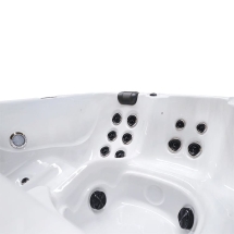 Плавательный спа-бассейн Lovia Spa ZR7801