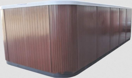 Бассейн СПА с противотоком Premium Leisure Swimmer 19, фото 2