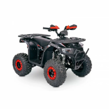 Квадроцикл YACOTA SIRIUS 125 Квадроцикл YACOTA SIRIUS 125