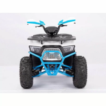 Квадроцикл YACOTA SIRIUS 125 Квадроцикл YACOTA SIRIUS 125