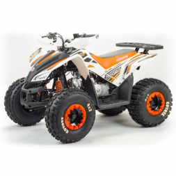 Квадроцикл подростковый MotoLand ATV COYOTE 125, фото 2