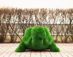 Топиари Черепаха с кашпо Мили - газон Eco, фото 9