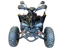 Квадроцикл MOTORHEAD RockIt 200, фото 2