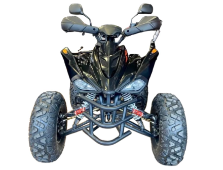 Квадроцикл MOTORHEAD RockIt 200, фото 2