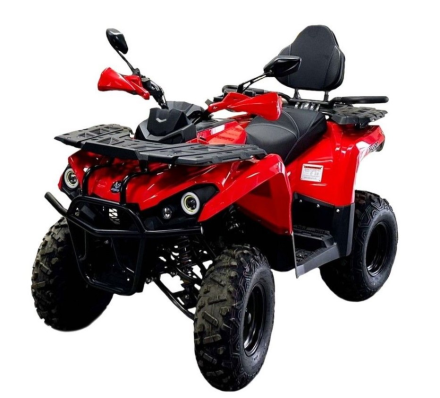 Квадроцикл BISON Hammer 250 PRO, фото 1