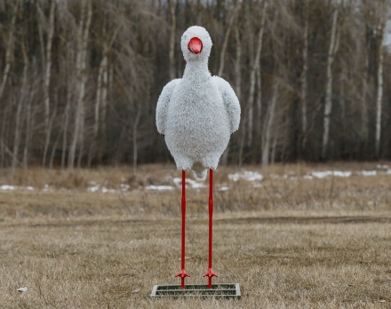 Топиари аист, задумался - газон Eco, фото 3