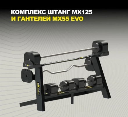 Держатель для гантелей MX55 EVO и MX100 EVO на стойку для штанг MX125 , фото 3