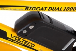 Велогибрид BIGCAT DUAL 1000, фото 15