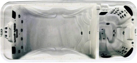 Плавательный спа-бассейн Premium Leisure Swimmer Dual Zone, фото 1