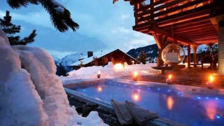 Плавательный спа-бассейн Premium Leisure Swimmer Dual Zone, фото 4