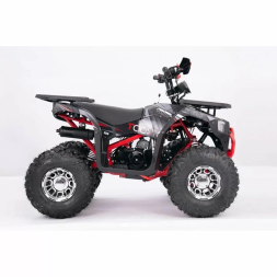 Квадроцикл YACOTA SIRIUS 125 LD, фото 6