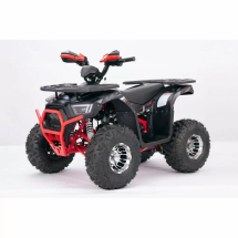 Квадроцикл YACOTA SIRIUS 125 LD Квадроцикл YACOTA SIRIUS 125 LD