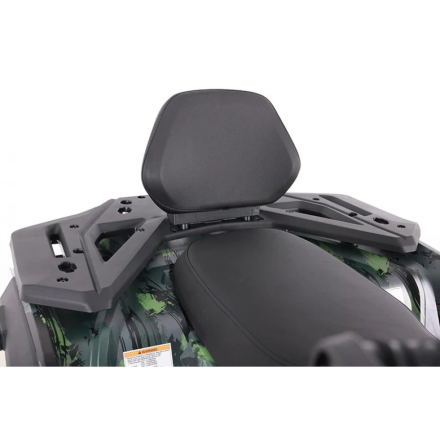 Квадроцикл MOTAX ATV Grizlik T 250 Basic, фото 15