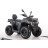 Квадроцикл MOTAX ATV Grizlik T 250 Basic