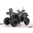Квадроцикл MOTAX ATV Grizlik T 250 Basic