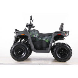 Квадроцикл MOTAX ATV Grizlik T 250 Basic, фото 2