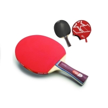 Ракетка для настольного тенниса DHS A1002