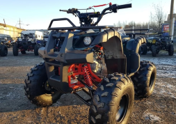 Квадроцикл RAPTOR 8, фото 4