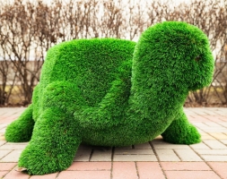 Топиари Черепаха с кашпо Бринхилда - газон Deluxe, фото 5